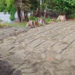 Subsurface drip system on a raised sand mound in Port Alberni