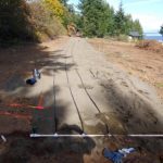 Subsurface drip system in Parksville BC